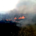 Incendiu Baloteasca, Topoloveni si Călinești (3)