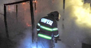 Incendiu la un adăpost de animale din Ștefănești, Zăvoi (2)