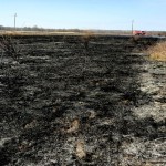 incendii de vegetație uscată (3)
