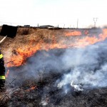 incendii de vegetație uscată (4)