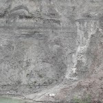 Mioara blocată în albia râului Argeș, salvată de pompieri (4)