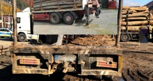 transport de lemne