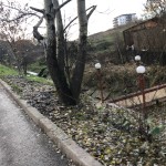 Canalul din strada Bucovina (4)