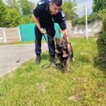 echipei canine a Jandarmeriei Argeșene (1)