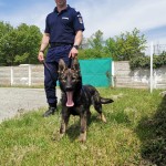 echipei canine a Jandarmeriei Argeșene (2)