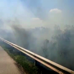 Incendiu vegetația uscată pe A1 (1)