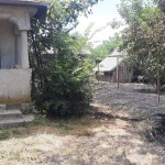 Incendii violente în localitățile Căteasca și Negrași (1)