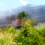 incendiu de vegetație uscată (2)