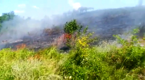incendiu de vegetație uscată (2)