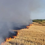 stingerea incendiilor de vegetație (1)