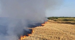 stingerea incendiilor de vegetație (1)