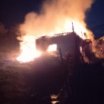 Bovine salvate din incendiu în localitatea Cepari (1)