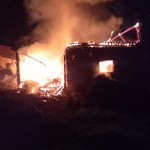 Bovine salvate din incendiu în localitatea Cepari (2)