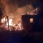 Bovine salvate din incendiu în localitatea Cepari (3)