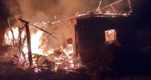 Bovine salvate din incendiu în localitatea Cepari (3)