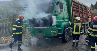 Incendiu la un camion încărcat cu lemne în localitatea Mușătești (2)