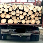 Transporta-material-lemnos-faradocumente-legale (3)