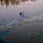 300 de litri de deșeuri petroliere pe râul Argeș (3)