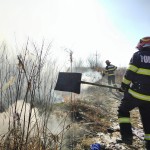 Incendiu de vegetație uscată în orașul Ștefănești (2)