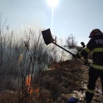 Incendiu de vegetație uscată în orașul Ștefănești (3)