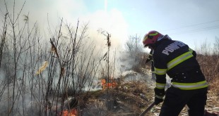 Incendiu de vegetație uscată în orașul Ștefănești (4)