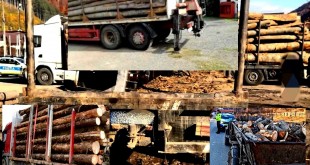 furt de lemne (2)