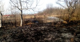 A crescut numărul incendiilor de vegetație uscată (2)