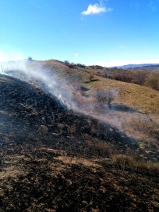 Incendii de vegetație uscată (1)