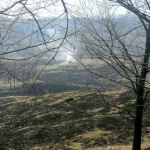 Incendii de vegetație uscată (2)