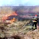 Incendiu de vegetație uscată (1)