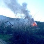 Incendiu la o locuință din comuna Mărăcineni (1)