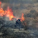 Zeci de incendii în ultimele zile, în Argeș (3)