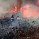 Zeci de incendii în ultimele zile, în Argeș (5)