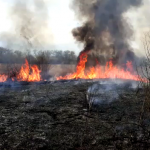 Zeci de incendii în ultimele zile, în Argeș (7)