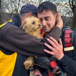  Cățelușa salvată de pompieri dintr-o fântână (3)