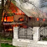 Incendiu izbucnit la o locuință din localitatea Merișani (4)
