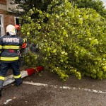 Copac a căzut pe un autoturism parcat (2)