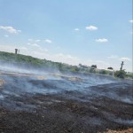 Au reapărut incendiile de vegetație (1)