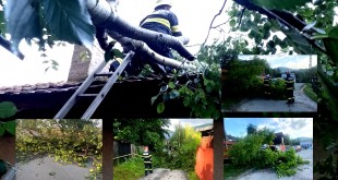 Copac căzut pe carosabil și cabluri electrice