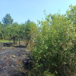 Costești - Incendiu la o construcție (1)