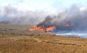 Incendiu într-un lan de grâu