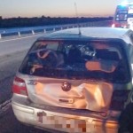   Accident pe A1, sensul București-Pitești,km 96 (2)