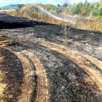 Incendiu de vegetație din localitatea Mihăești (1)