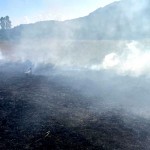 Incendiu de vegetație din localitatea Mihăești (2)