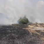 Incendiu de vegetației uscată în municipiul Câmpulung (1)