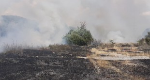 Incendiu de vegetației uscată în municipiul Câmpulung (1)