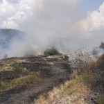 Incendiu de vegetației uscată în municipiul Câmpulung (2)