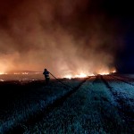 Incendiu la vegetația uscată în localitățile Suseni și Buzoiești (1)