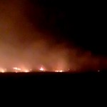 Incendiu la vegetația uscată în localitățile Suseni și Buzoiești (2)