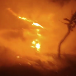 Incendiu puternic Buzoești (3)